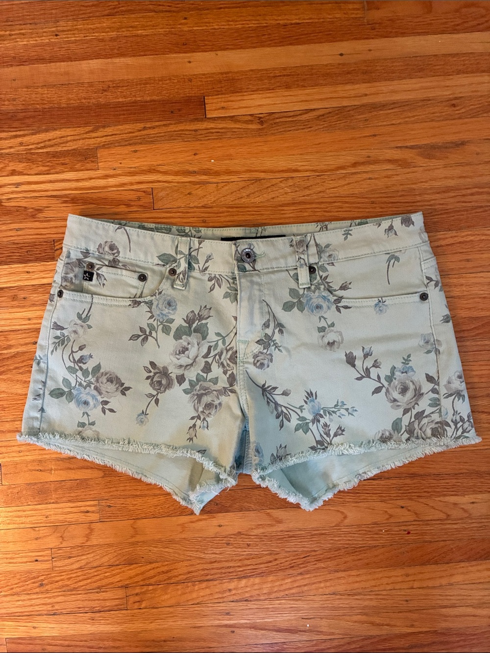 Big Star Floral Frayed Hem Mint Green Denim Shorts